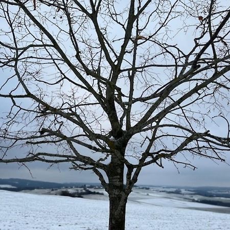 Willa Eifel-Bau-Traum Schlich Wershofen Zewnętrze zdjęcie