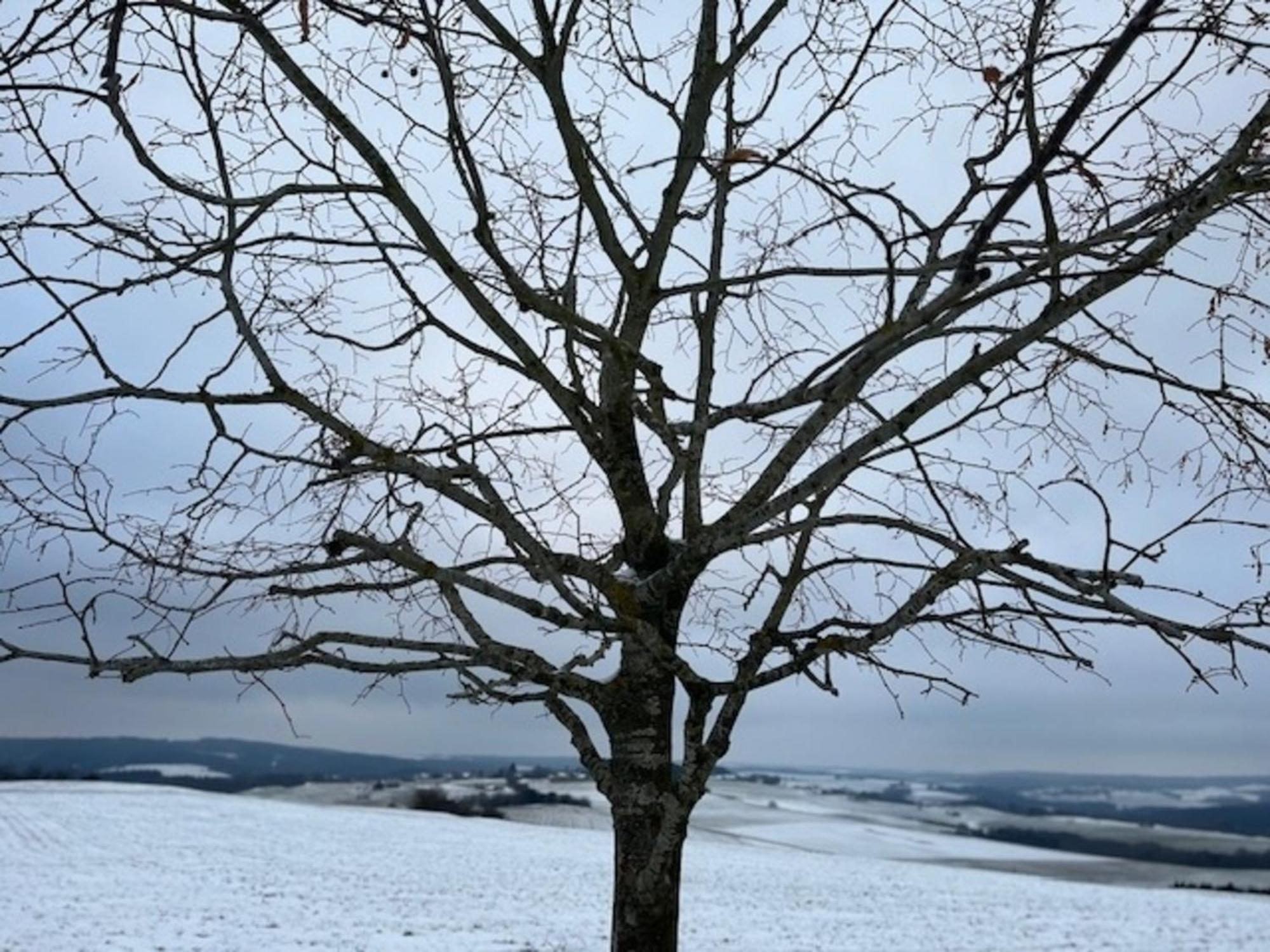 Willa Eifel-Bau-Traum Schlich Wershofen Zewnętrze zdjęcie